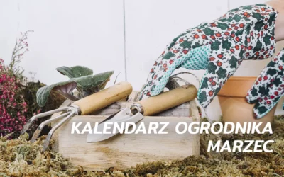 Kalendarz ogrodnika – marzec