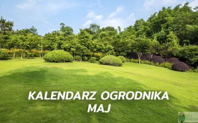 Kalendarz ogrodnika – maj